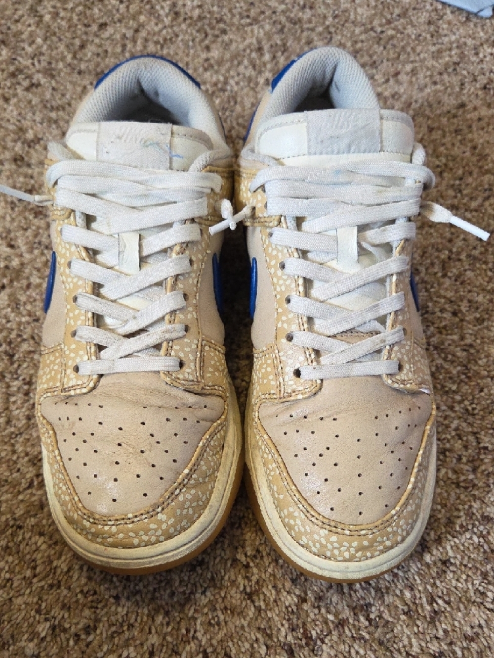 Nike Sesame Blue Jay-Sail-Sandrift Dunks Sneaker